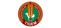 Tigem