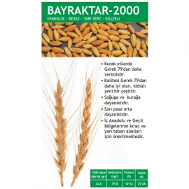 Bayraktar 2000