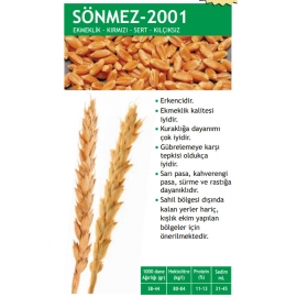 Sönmez 2001
